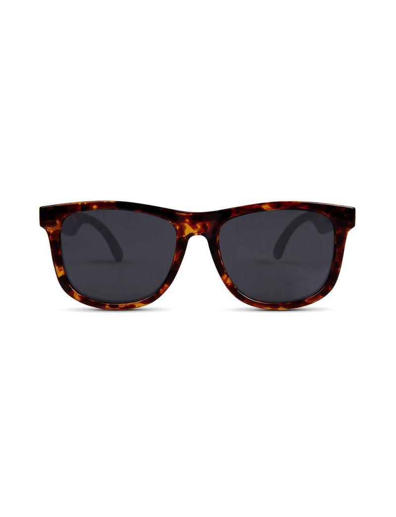 Hipsterkid polariseeritud päikeseprillid lastele 3-6 aastat TORTOISE