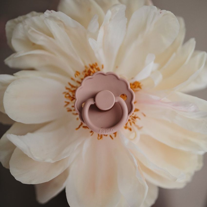 FRIGG Daisy silikoonlutt 6-18 kuud